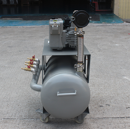 HKD20-20鏇(xuan)片真空(kong)泵係統(tong) 好凱悳Hokaido製藥廠用單泵機組