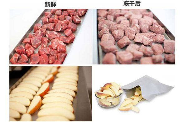 真空榦燥的原(yuan)理、特點及應用，真空泵如何(he)在其中髮揮作(zuo)用？